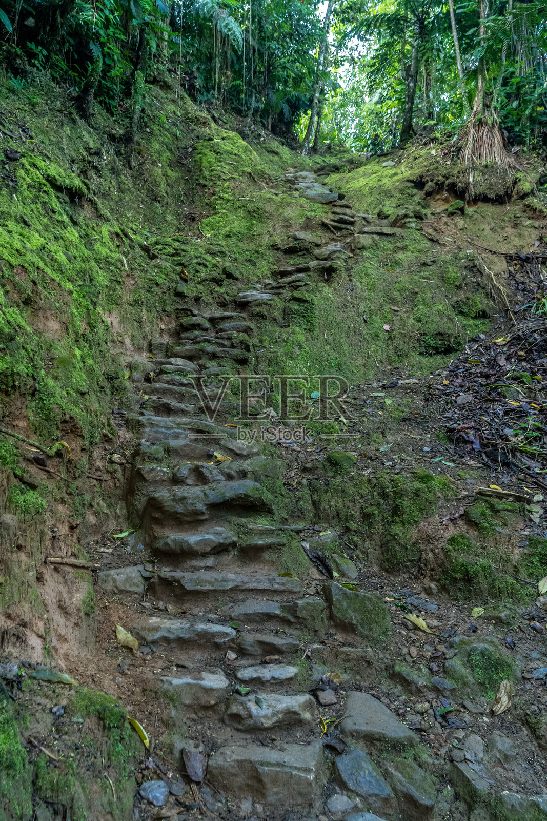 内华达山脉，失落之城徒步旅行照片摄影图片
