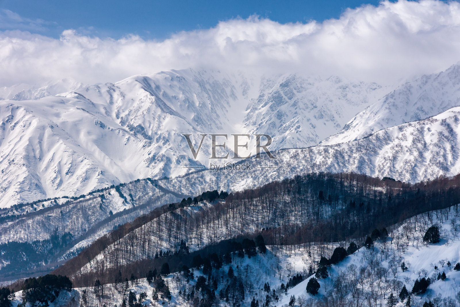 高耸的雪覆盖山峰和前方的光秃树木。阿尔卑斯山景。照片摄影图片