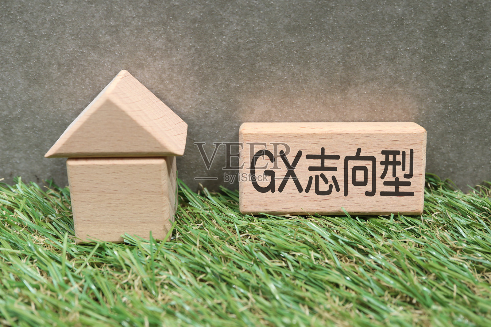 GX导向的住房。照片摄影图片