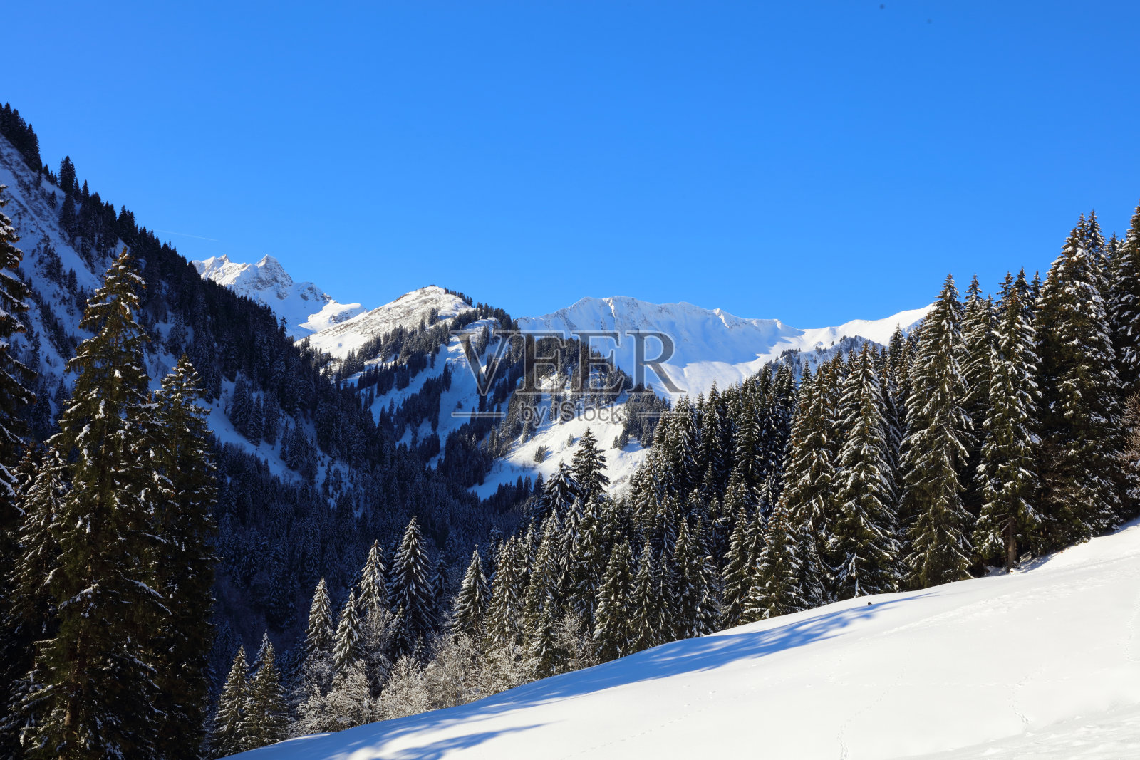 克莱因瓦尔斯特谷 - 冬季 / 克莱因瓦尔斯特谷 - 冬季照片摄影图片