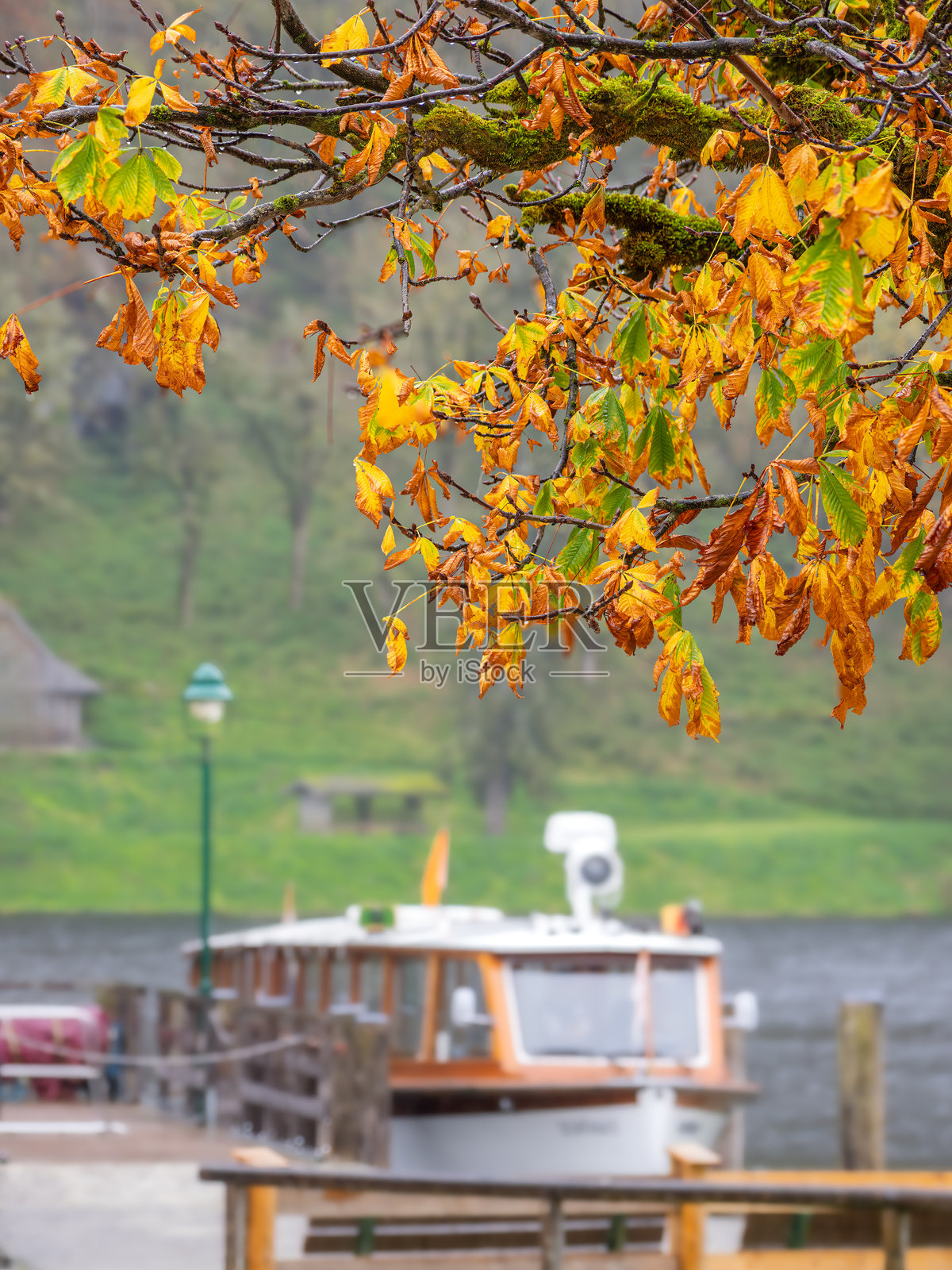 秋天的落叶与停靠的船只场景照片摄影图片