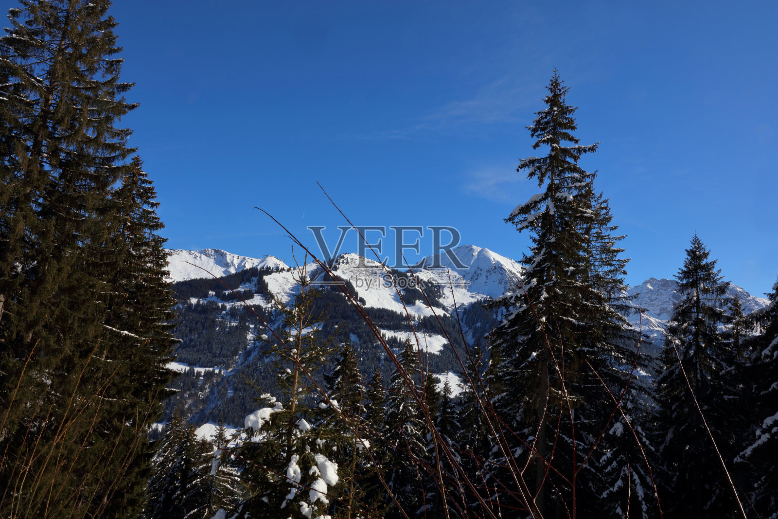 克莱因瓦尔斯特谷 - 冬季 / 克莱因瓦尔斯特谷 - 冬季照片摄影图片