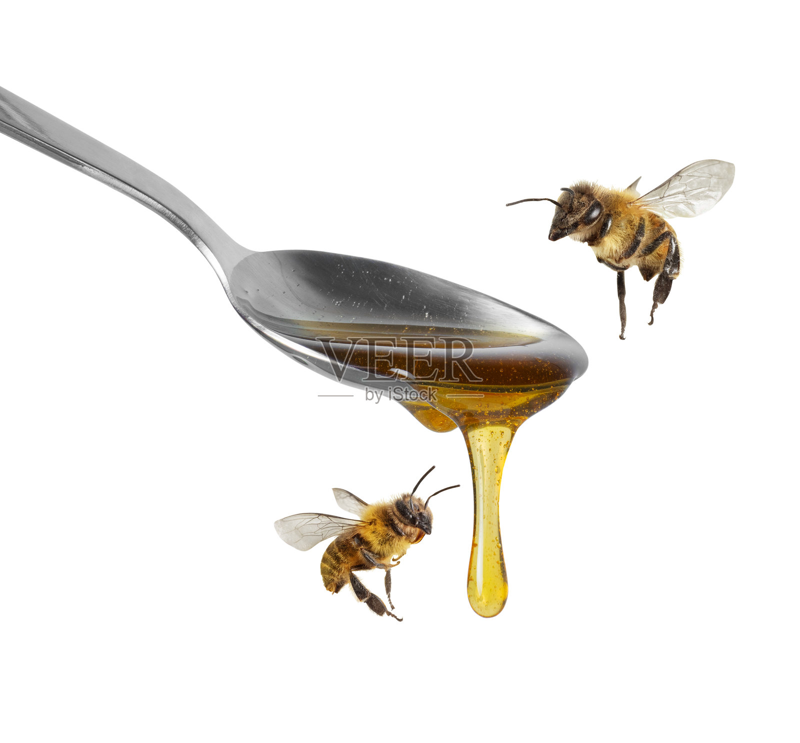 蜜蜂在飞舞，蜜糖从勺子上滴落照片摄影图片