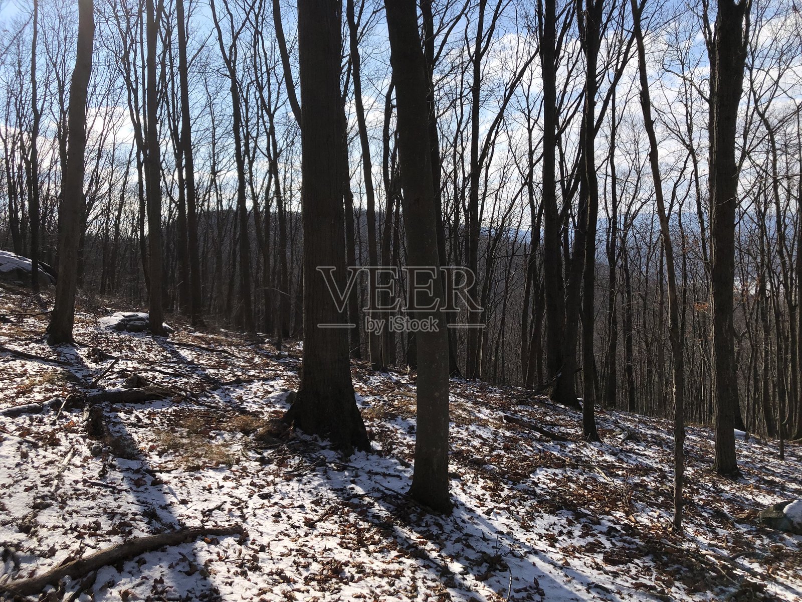 纽约州哈德逊高地州立公园一月的雪景。照片摄影图片
