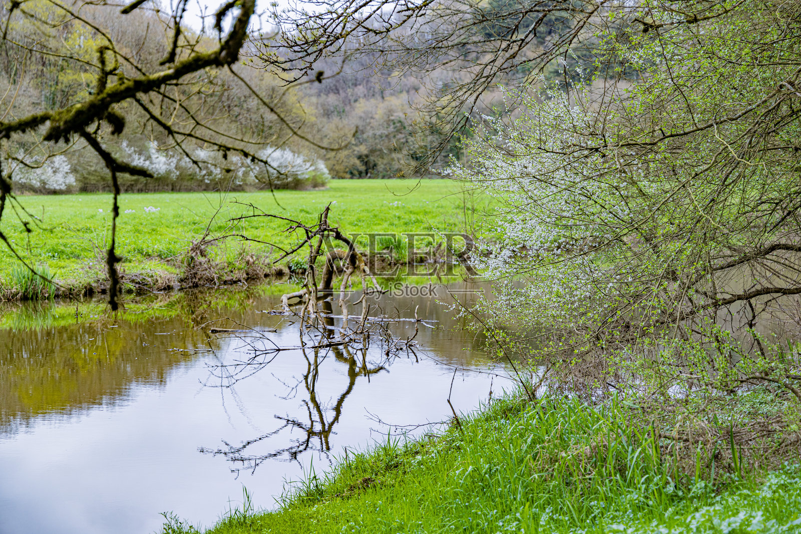 法国的野生自然田野和河流照片摄影图片