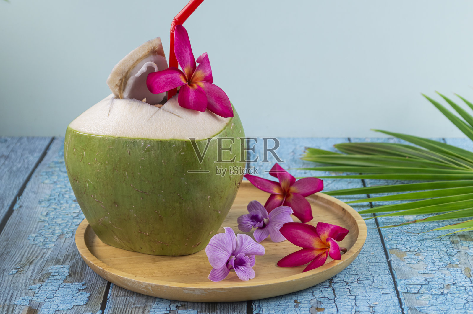 绿色年轻椰子照片摄影图片