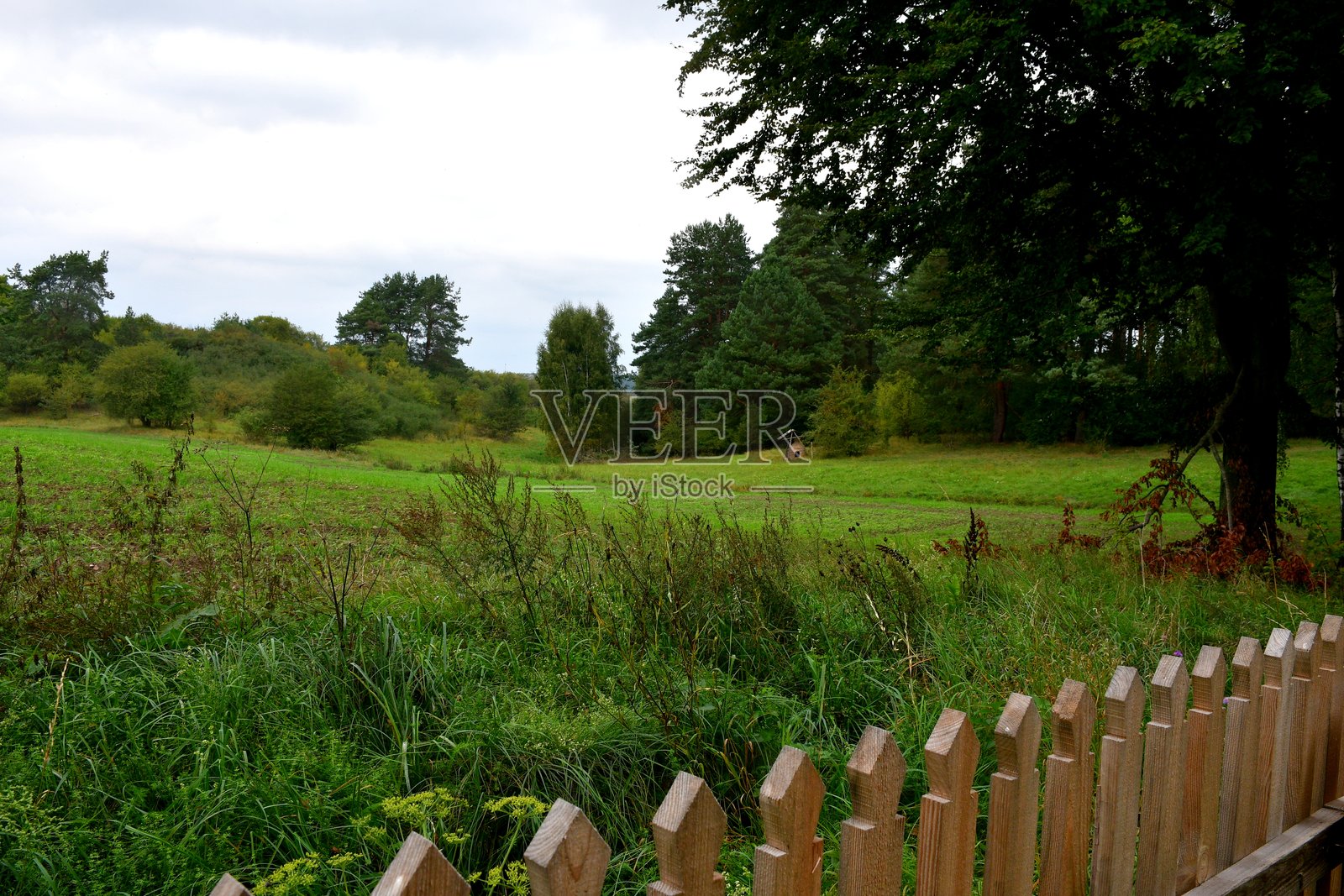 一片广阔的草地、牧场或农田，四周环绕着沼泽、森林和其他植物，夏季在波兰的灌木丛中可以看到一个残留的土炉。照片摄影图片