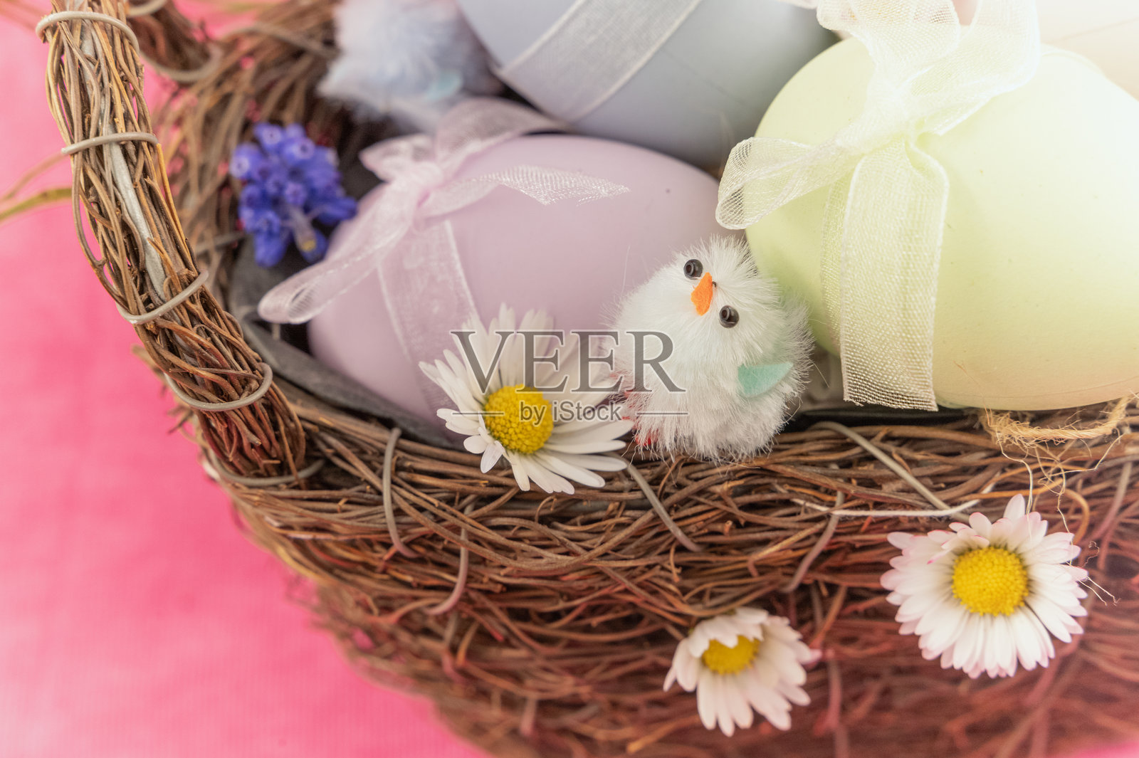 一个装满彩色鸡蛋和可爱小鸡的复活节篮子，带来欢乐和喜悦照片摄影图片