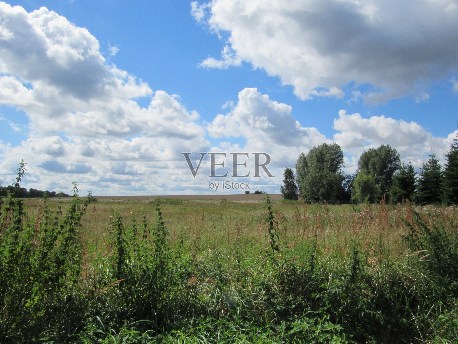 阴云密布的田野照片摄影图片