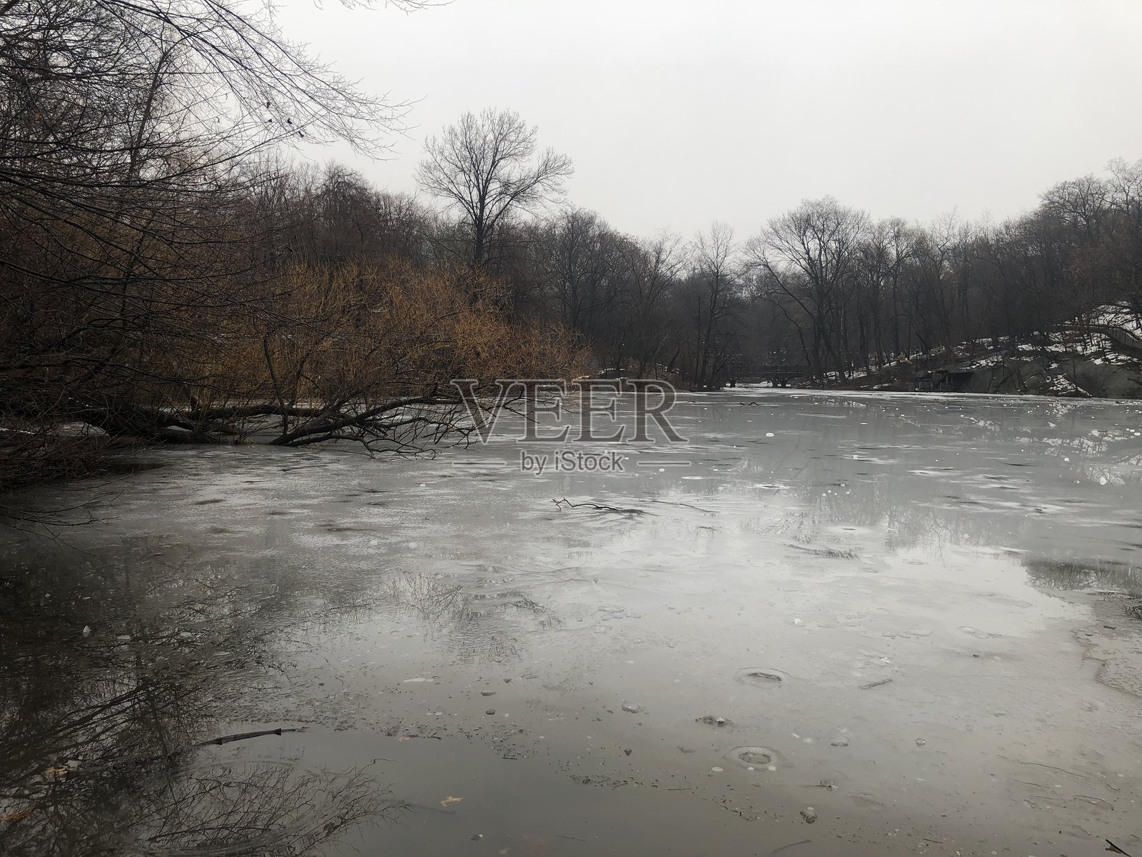纽约曼哈顿二月的阴天中央公园。照片摄影图片