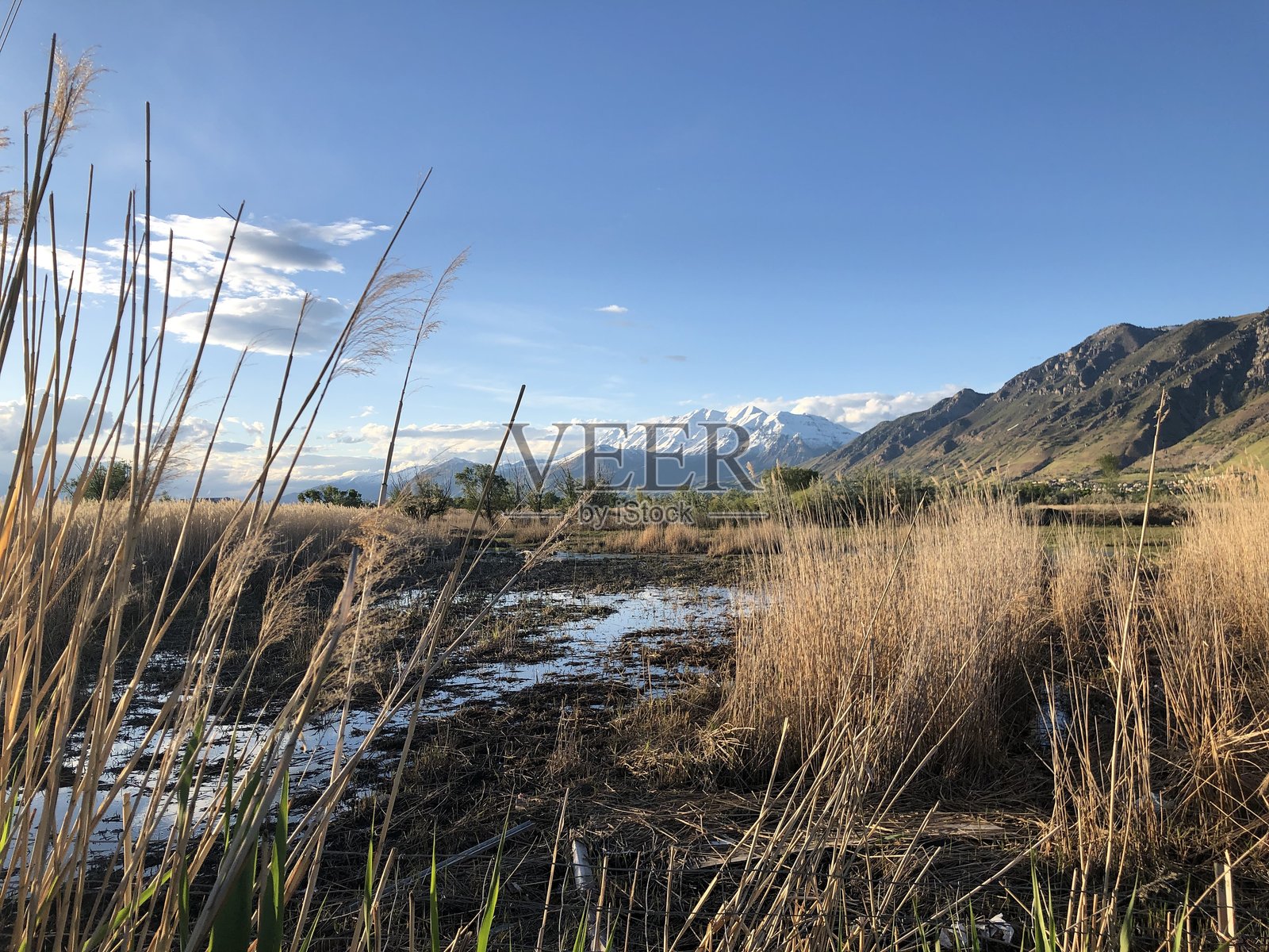西部草原、山脉和水域照片摄影图片