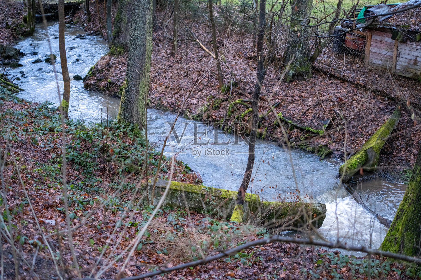 森林溪流上的小水坝和旧木棚照片摄影图片