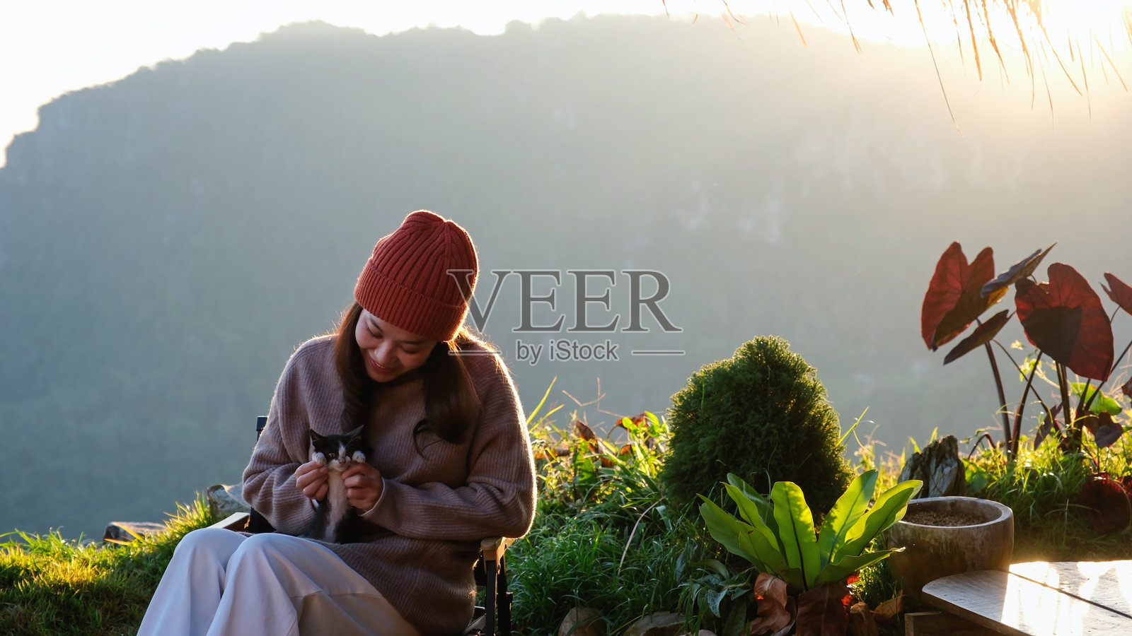 一位女性坐着与猫咪玩耍，背景是美丽的山景和自然风光，晨光熹微。照片摄影图片