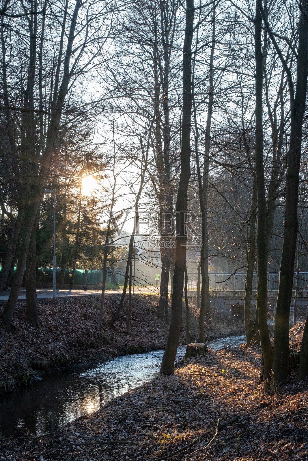 阳光照耀的森林溪流与金色晨光照片摄影图片