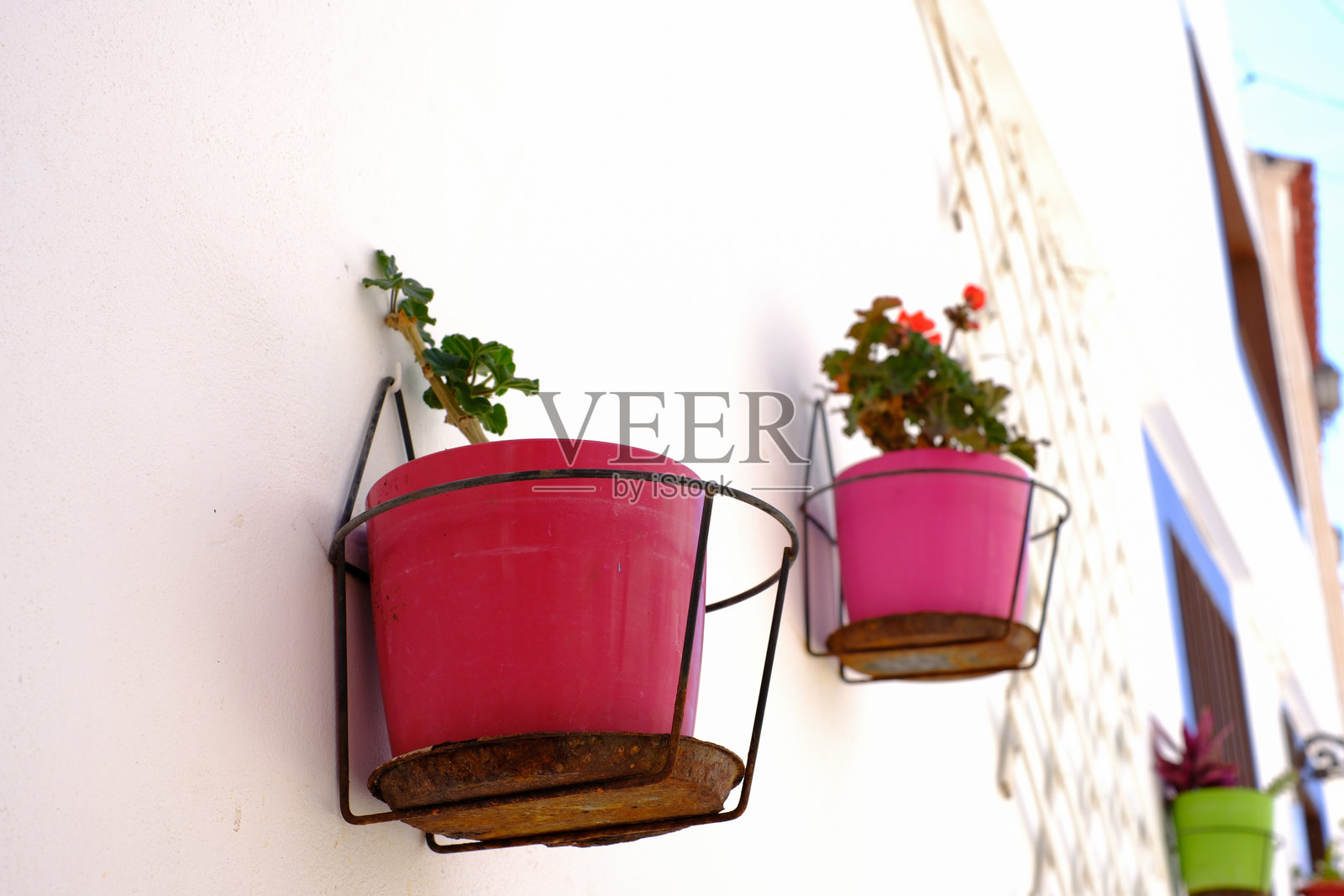明亮的粉色花盆在白色墙壁上，背景是晴朗的天空照片摄影图片