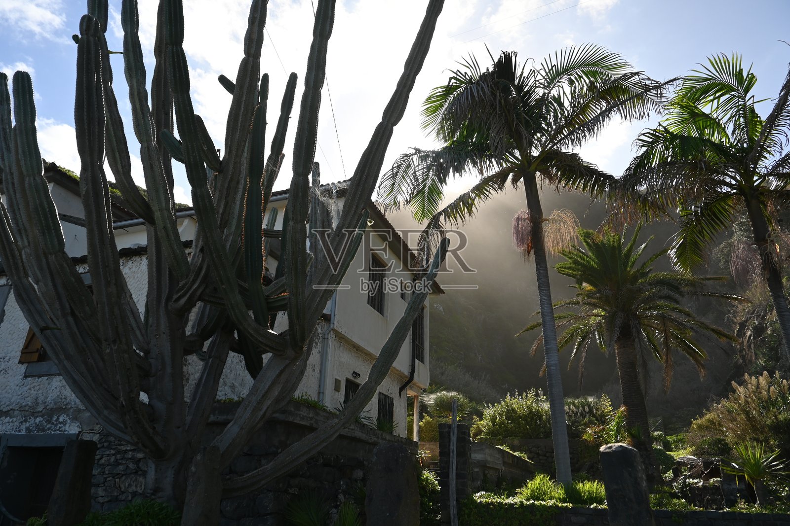 葡萄牙马德拉的老房子照片摄影图片