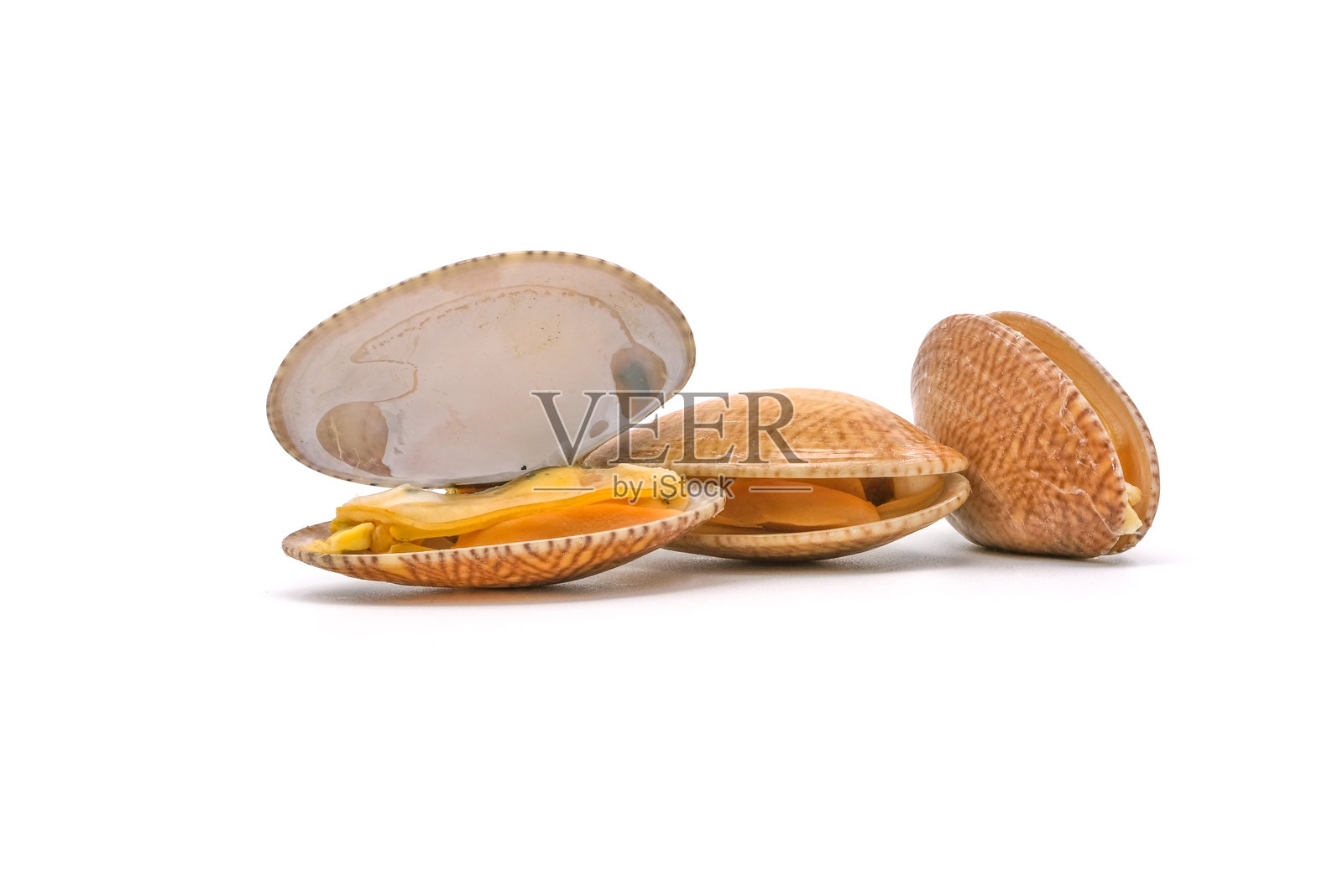 新鲜的婴儿蛤蜊特写。维纳斯贝壳。贝类。地毯蛤蜊。短颈蛤蜊。作为海洋生鲜食材的生蛤蜊背景。照片摄影图片