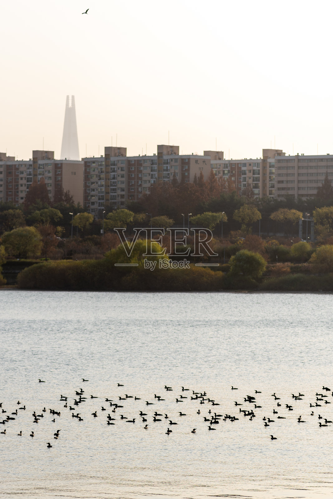 汉江和首尔城市景观的全景,首尔是韩国的首都照片摄影图片
