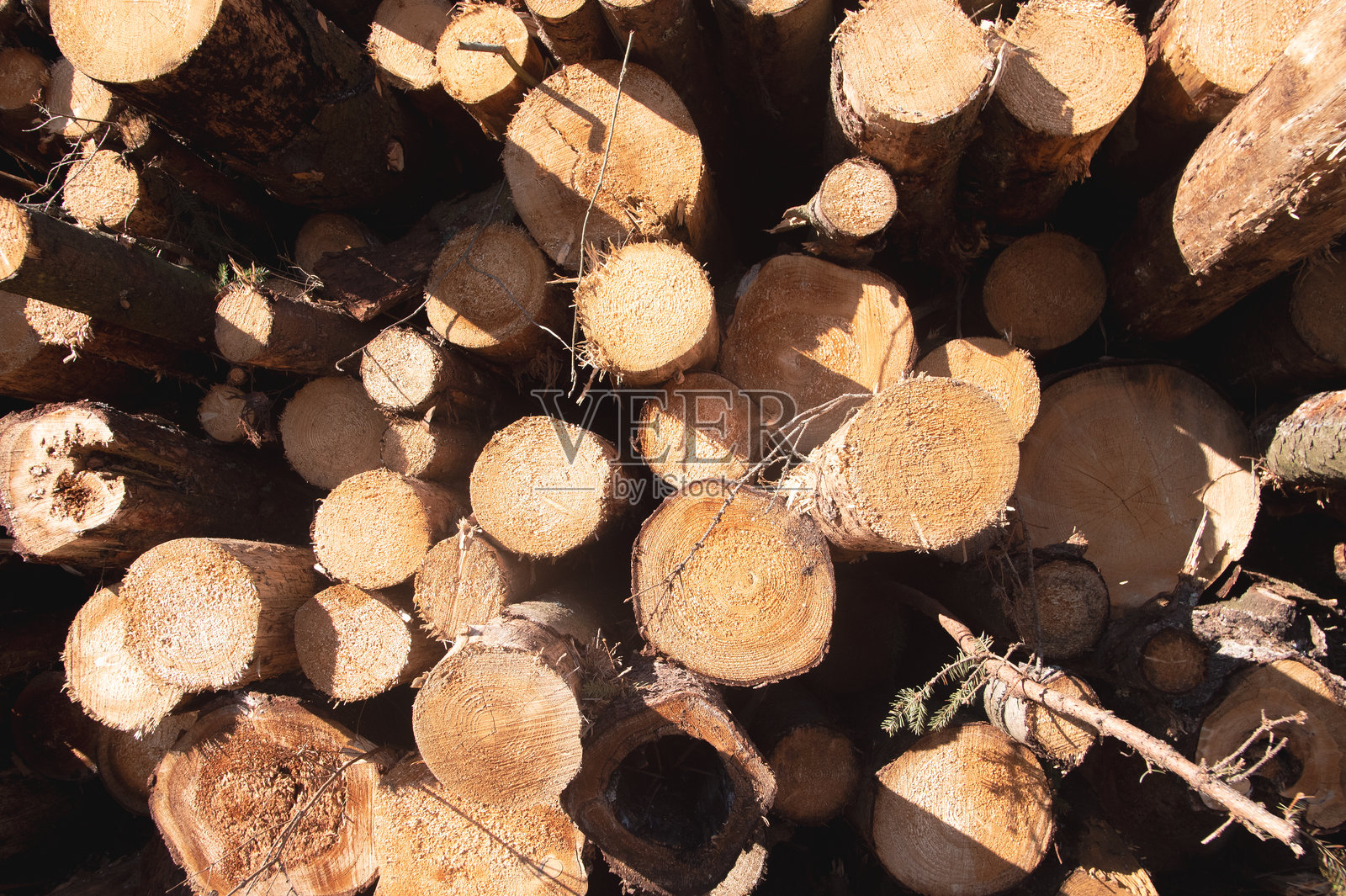 木材背景和纹理照片摄影图片