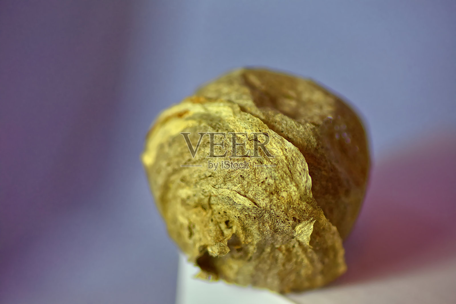 黄蜂巢照片摄影图片