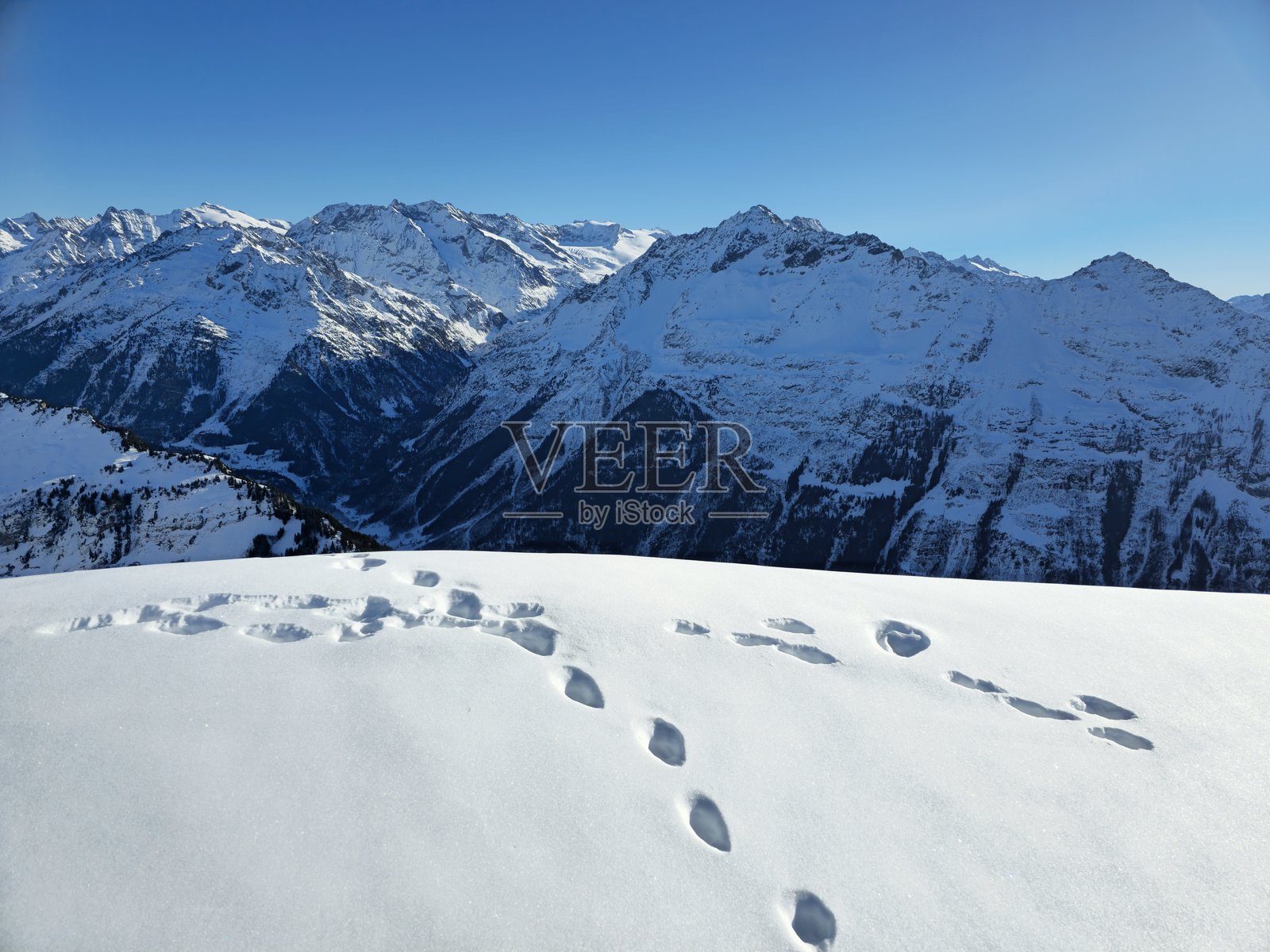 瑞士阿尔卑斯山的冬季照片摄影图片