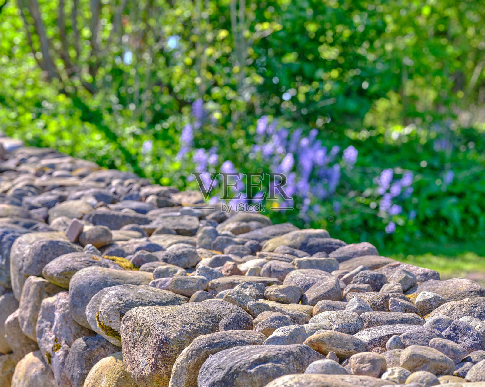 阳光明媚的花园中的石墙照片摄影图片