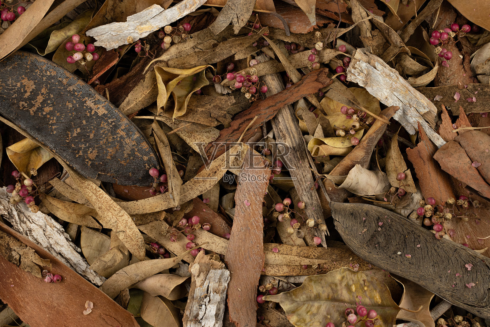 干枯树叶的表面，冬季的有机纹理照片摄影图片