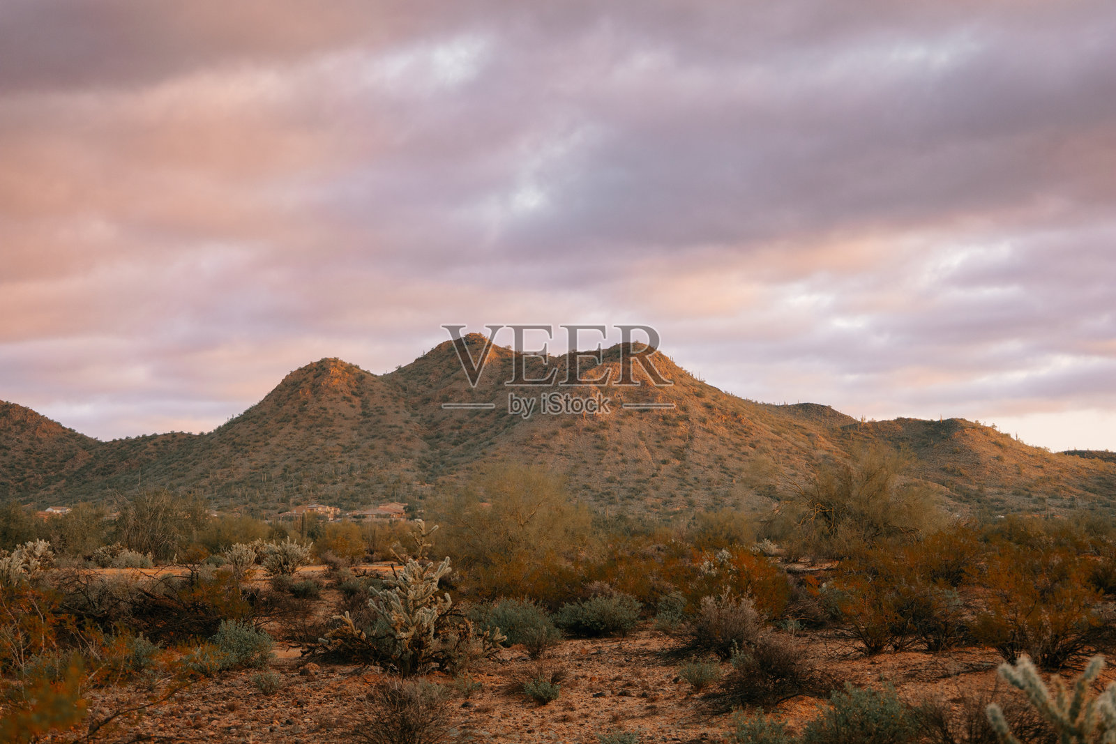 亚利桑那州的山脉照片摄影图片