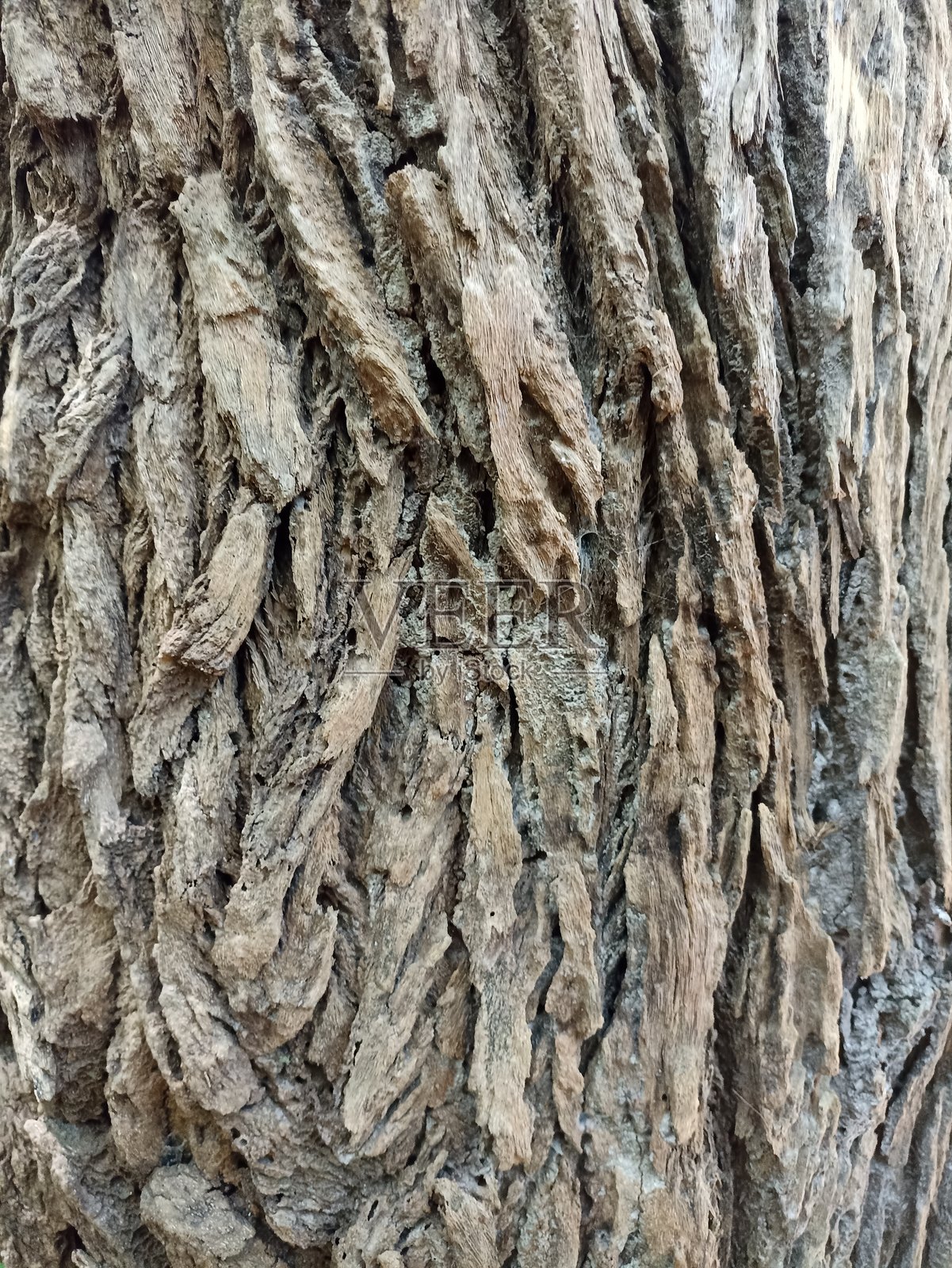 木纹背景照片摄影图片