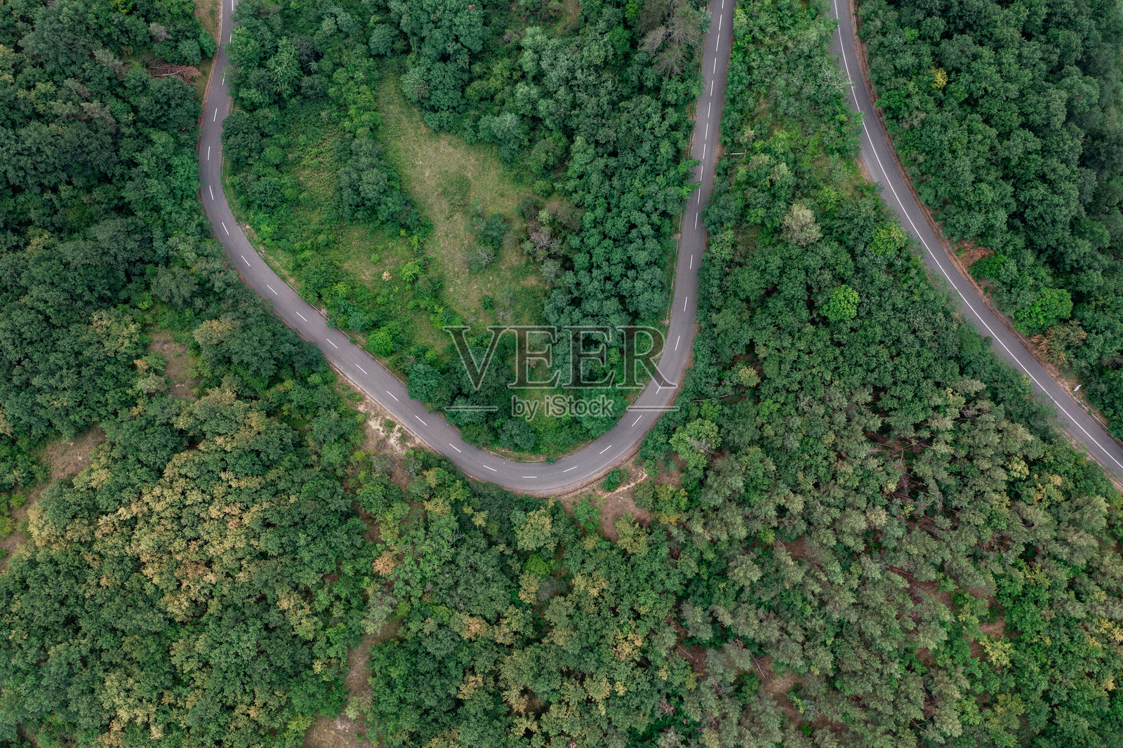 弯曲的道路穿过郁郁葱葱的森林景观照片摄影图片