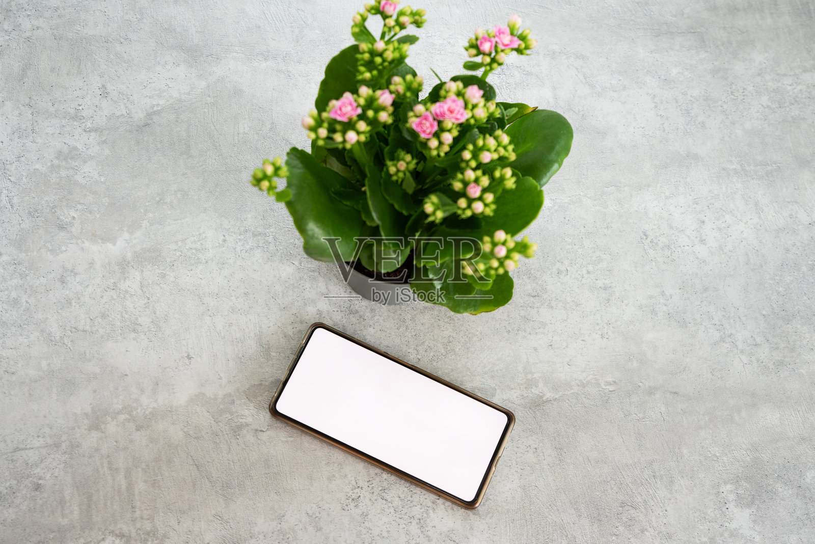 白色空白屏幕的智能手机，旁边是一杯咖啡和一朵绿色活花，置于现代家居或办公室的室内环境中照片摄影图片