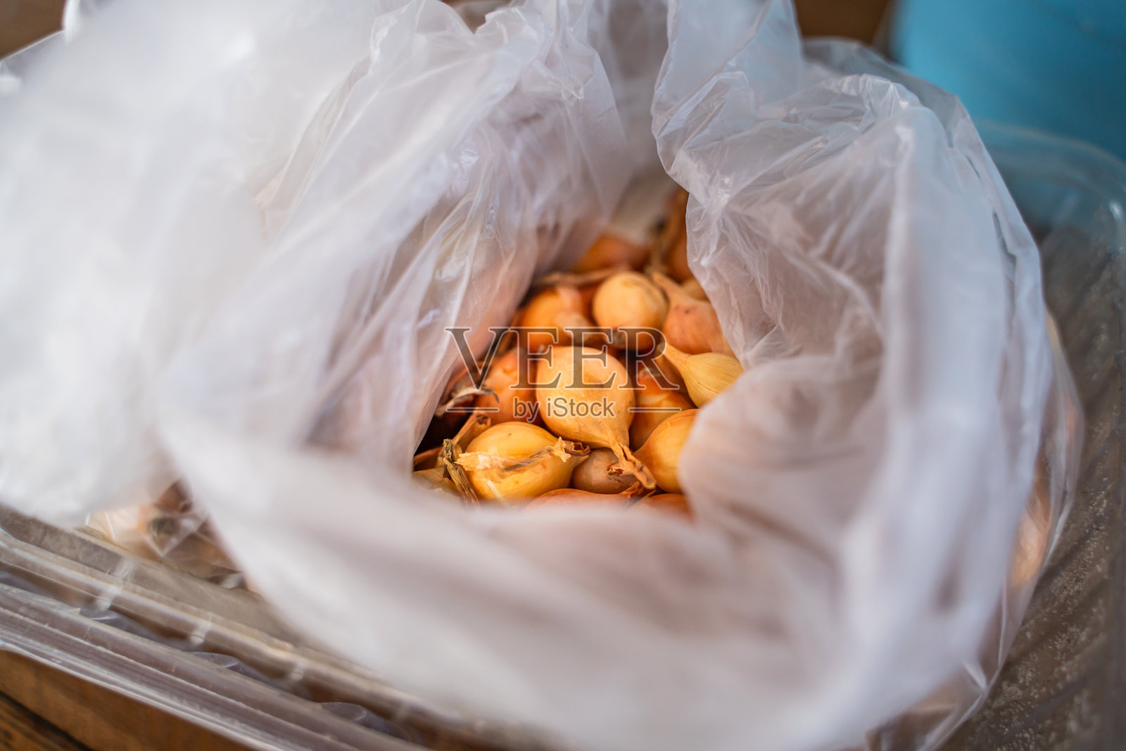 洋葱种子的塑料袋特写。小洋葱头准备种植和发芽。照片摄影图片