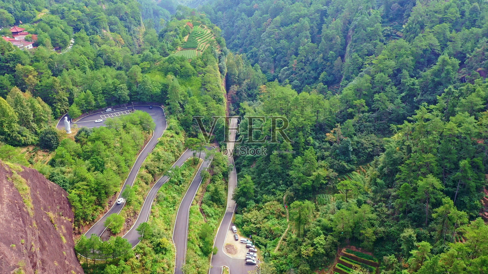母树大红袍茶，九龙溪，武夷山，南平，福建，中国。丹霞地貌。照片摄影图片