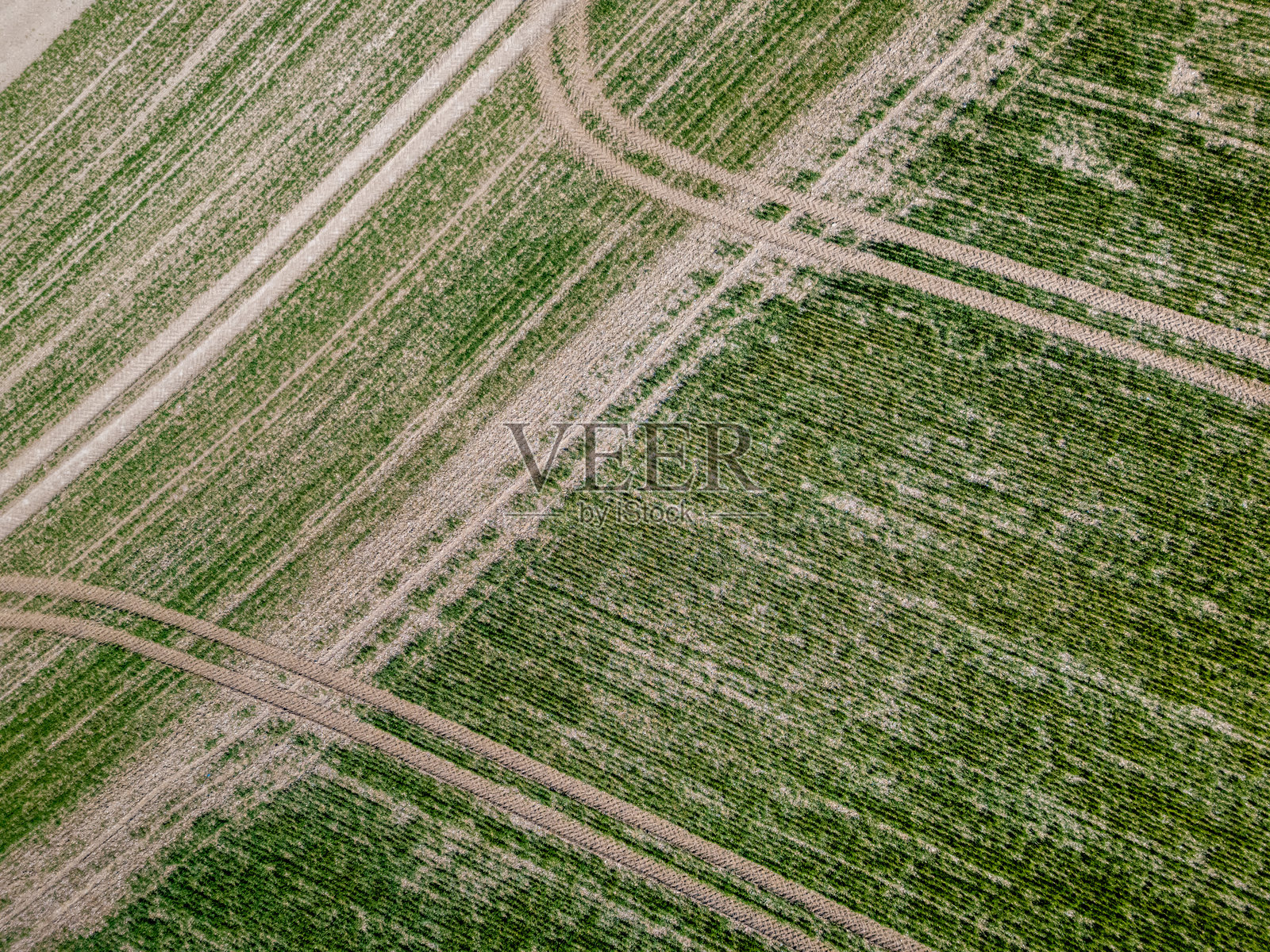 最近收获的农田照片摄影图片