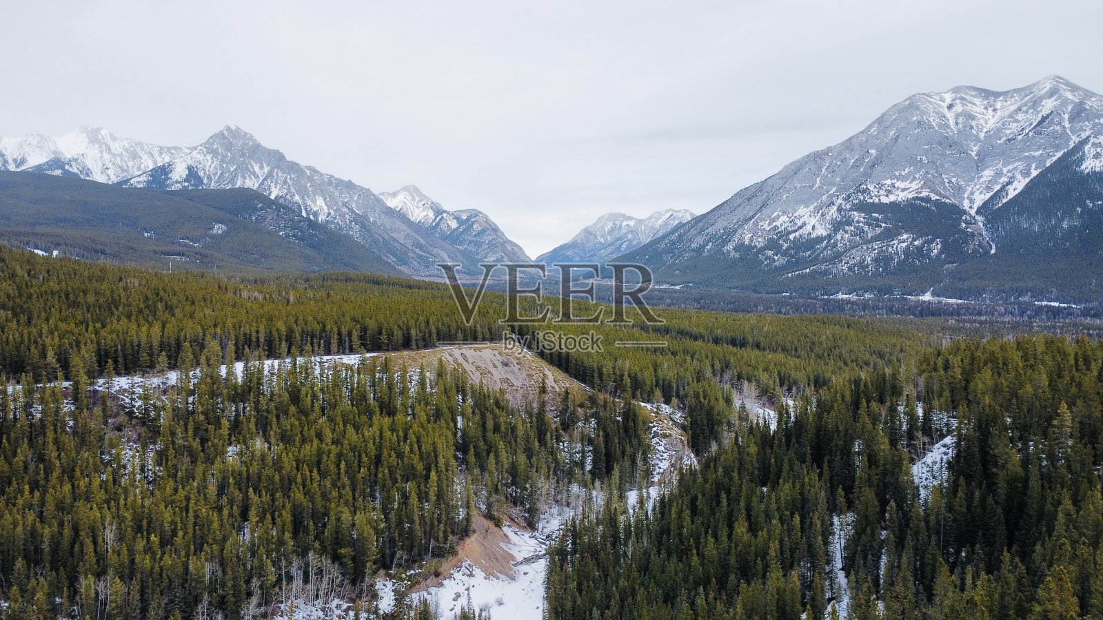加拿大冬季的野生动物公园照片摄影图片