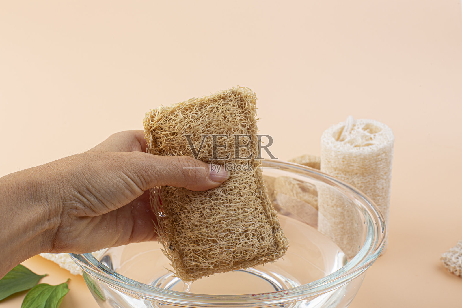 天然丝瓜络海绵孤立在米色背景上。照片摄影图片