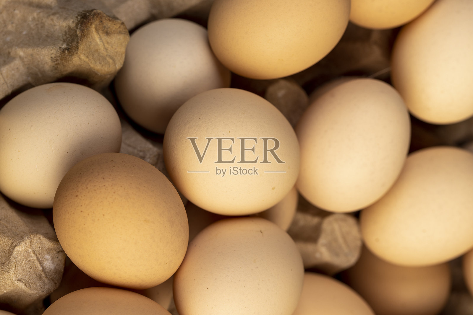 新鲜的大鸡蛋在包装过程中照片摄影图片