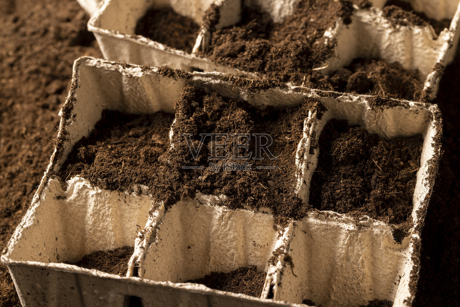 为幼苗准备杯子并在播种季节之前填充土壤照片摄影图片