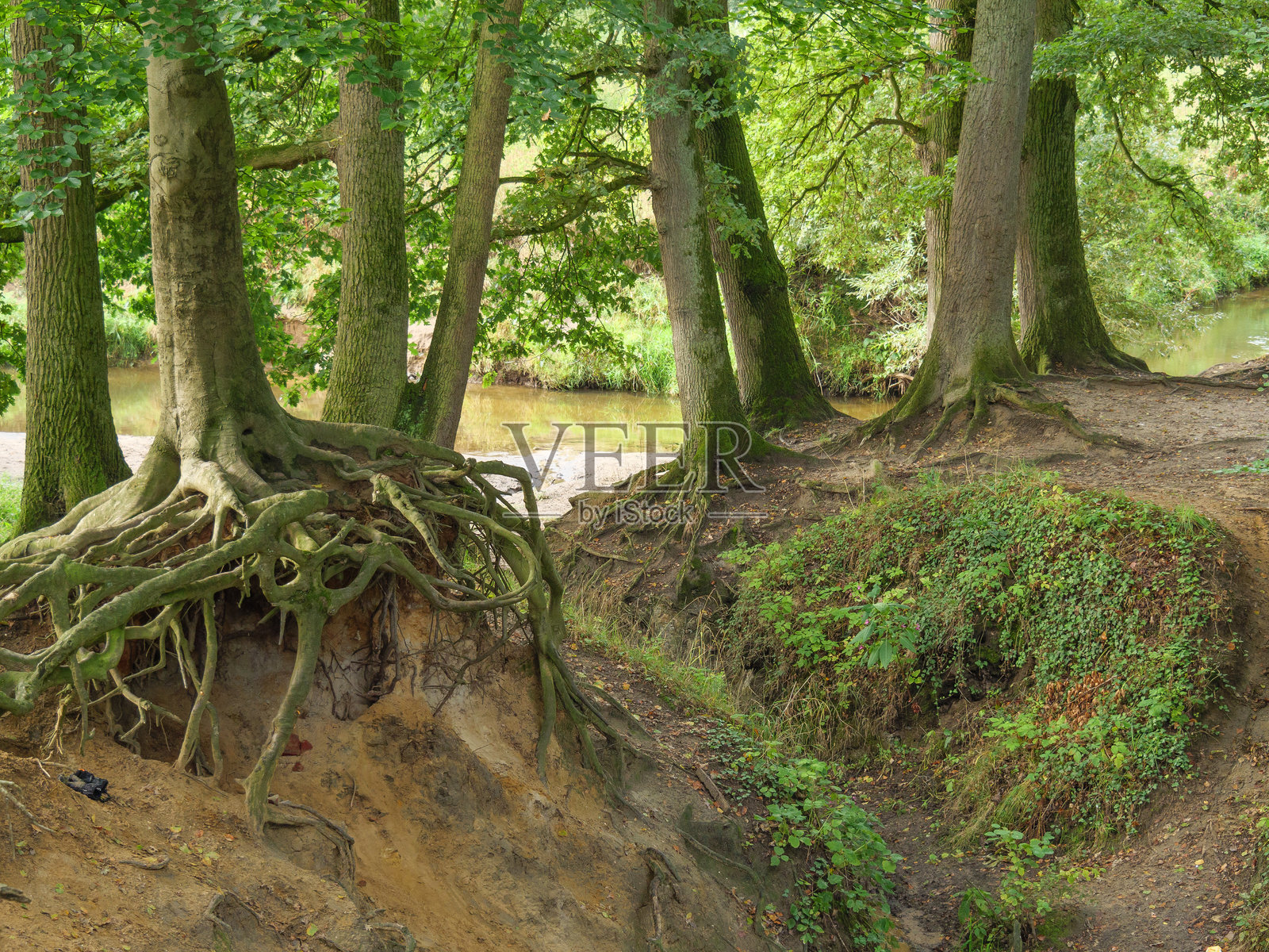 在明斯特地区的盖舍尔沿着贝尔克河徒步旅行照片摄影图片