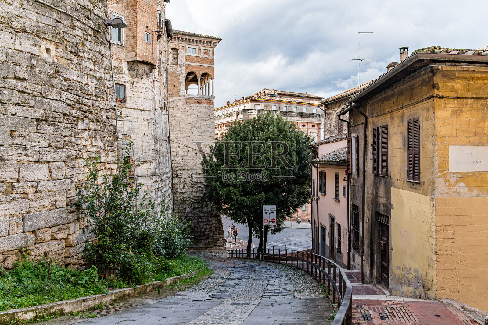 一棵树在佩鲁贾的阿尔科·埃特鲁斯科路边生长。照片摄影图片