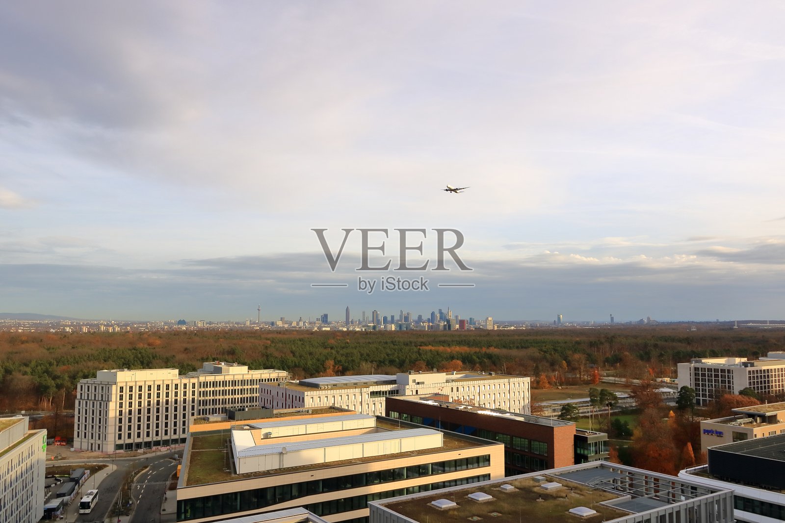 法兰克福/美因河的晨间天际线照片摄影图片