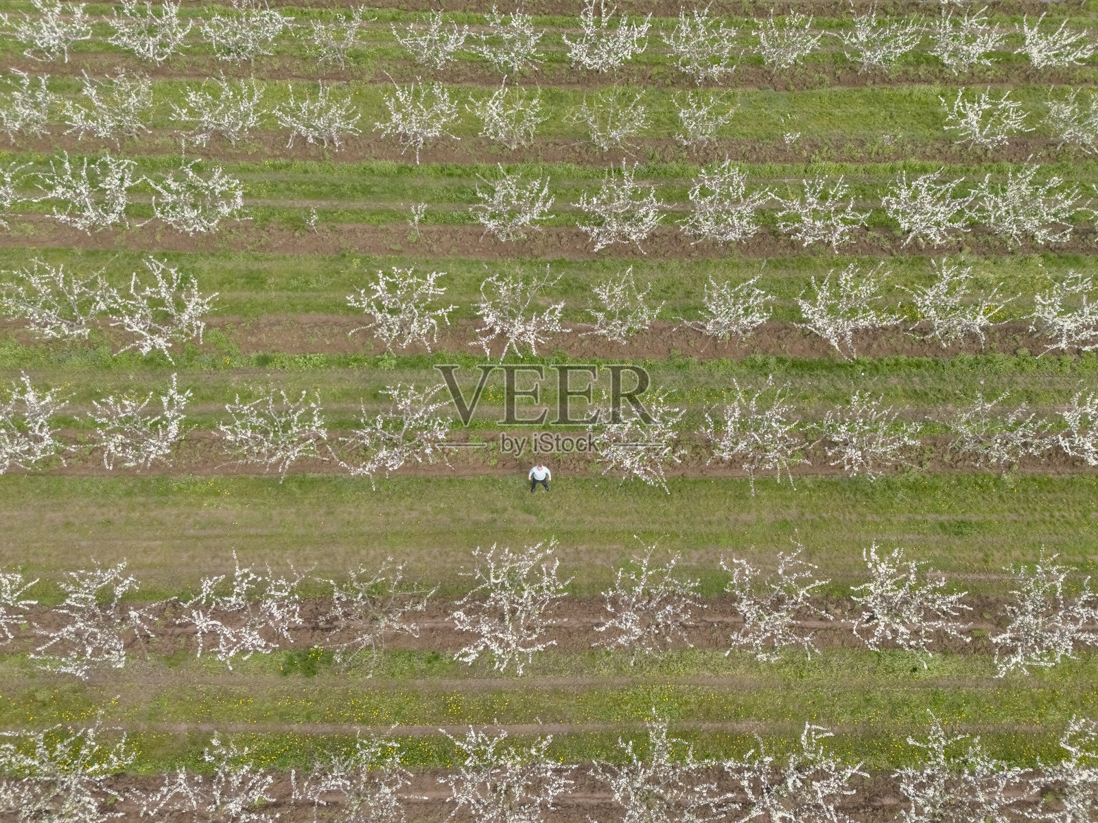 可持续性与环境照片摄影图片