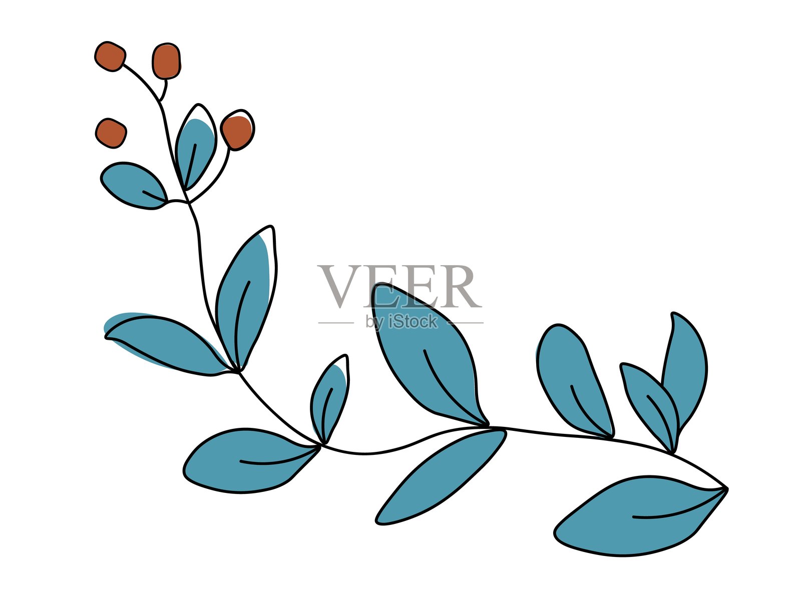 带叶子和花朵的植物茎。季节性观赏植物。用于明信片、海报、名片和邀请函的装饰。漂亮的装饰。一个图标，独立于白色背景。插画图片素材