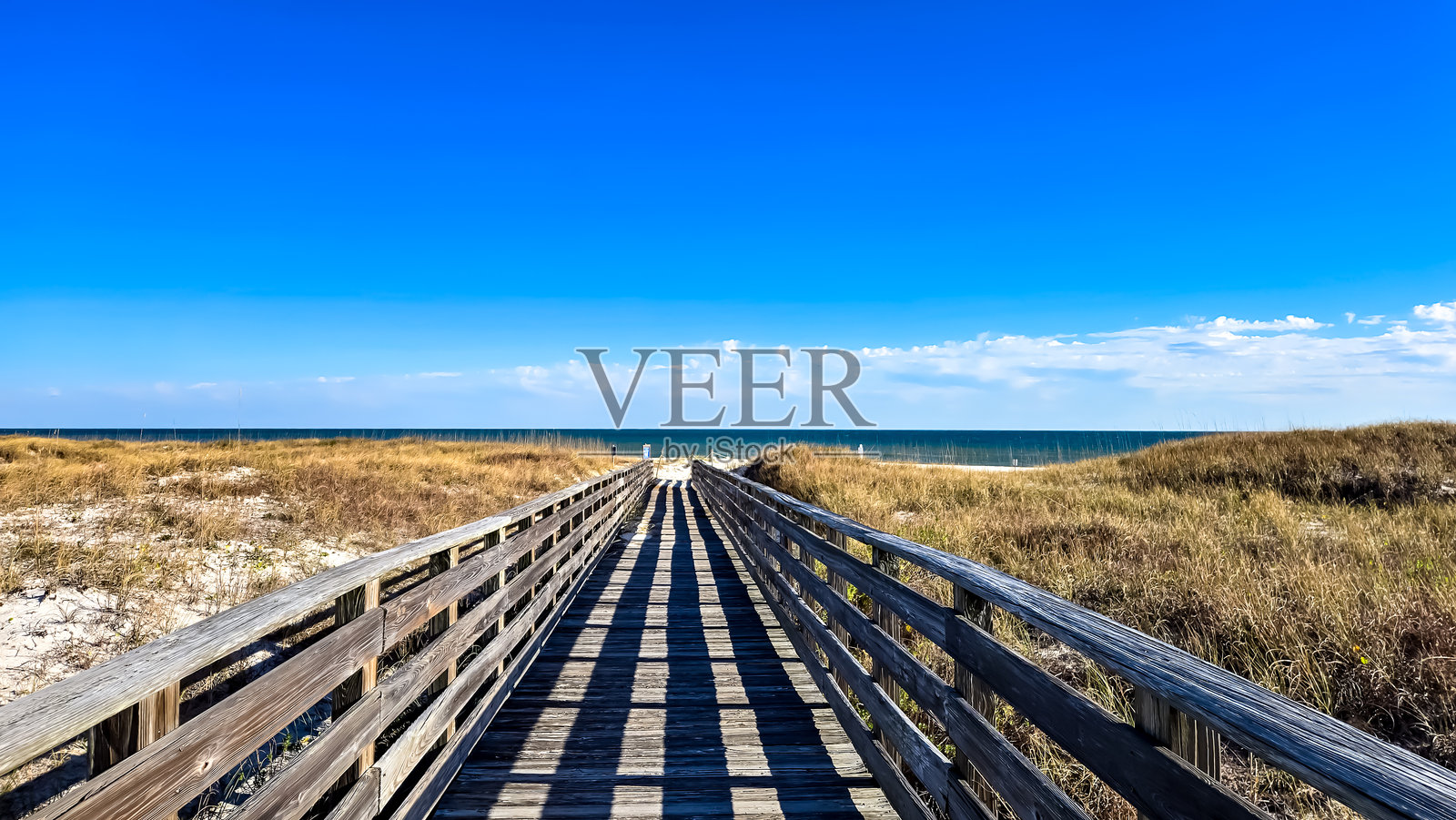 一月的海滩散步照片摄影图片