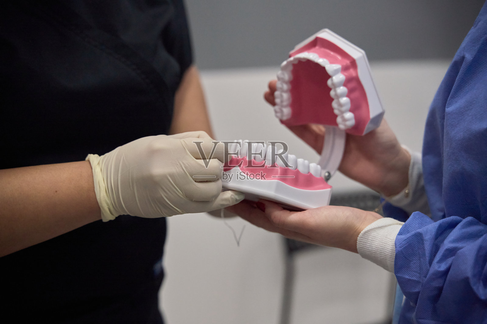 牙医示范如何使用牙线与牙齿模型照片摄影图片