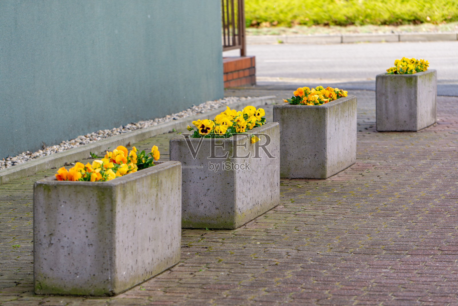 沿着人行道排成一排的混凝土花盆。每个花盆里都种满了黄色和橙色的三色堇。背景是建筑物的绿色墙壁和一部分街道。照片摄影图片