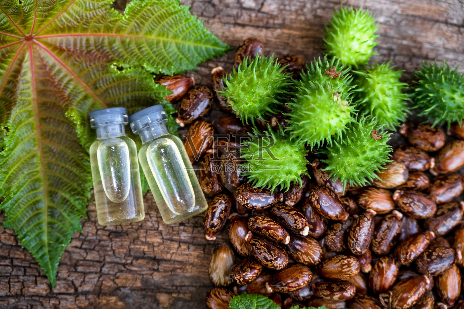 蓖麻（Ricinus communis）。绿色果实、蓖麻油和蓖麻种子在木质背景上。照片摄影图片