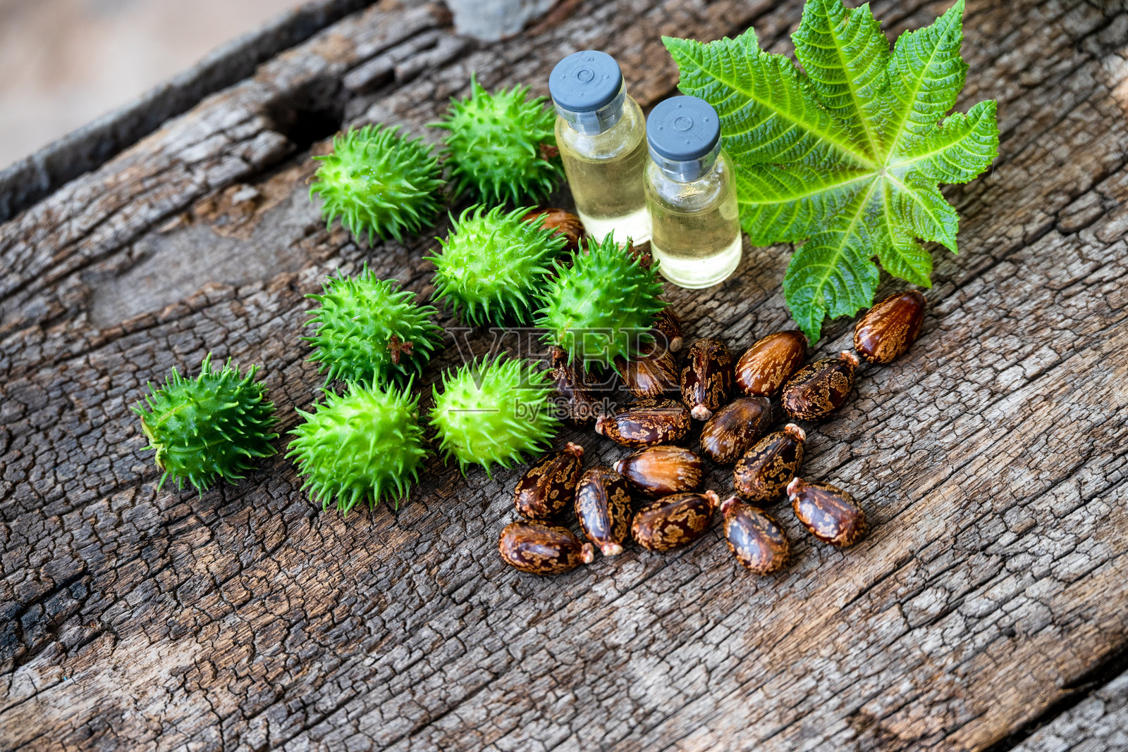 蓖麻（Ricinus communis）。绿色果实、蓖麻油和蓖麻种子在木质背景上。照片摄影图片