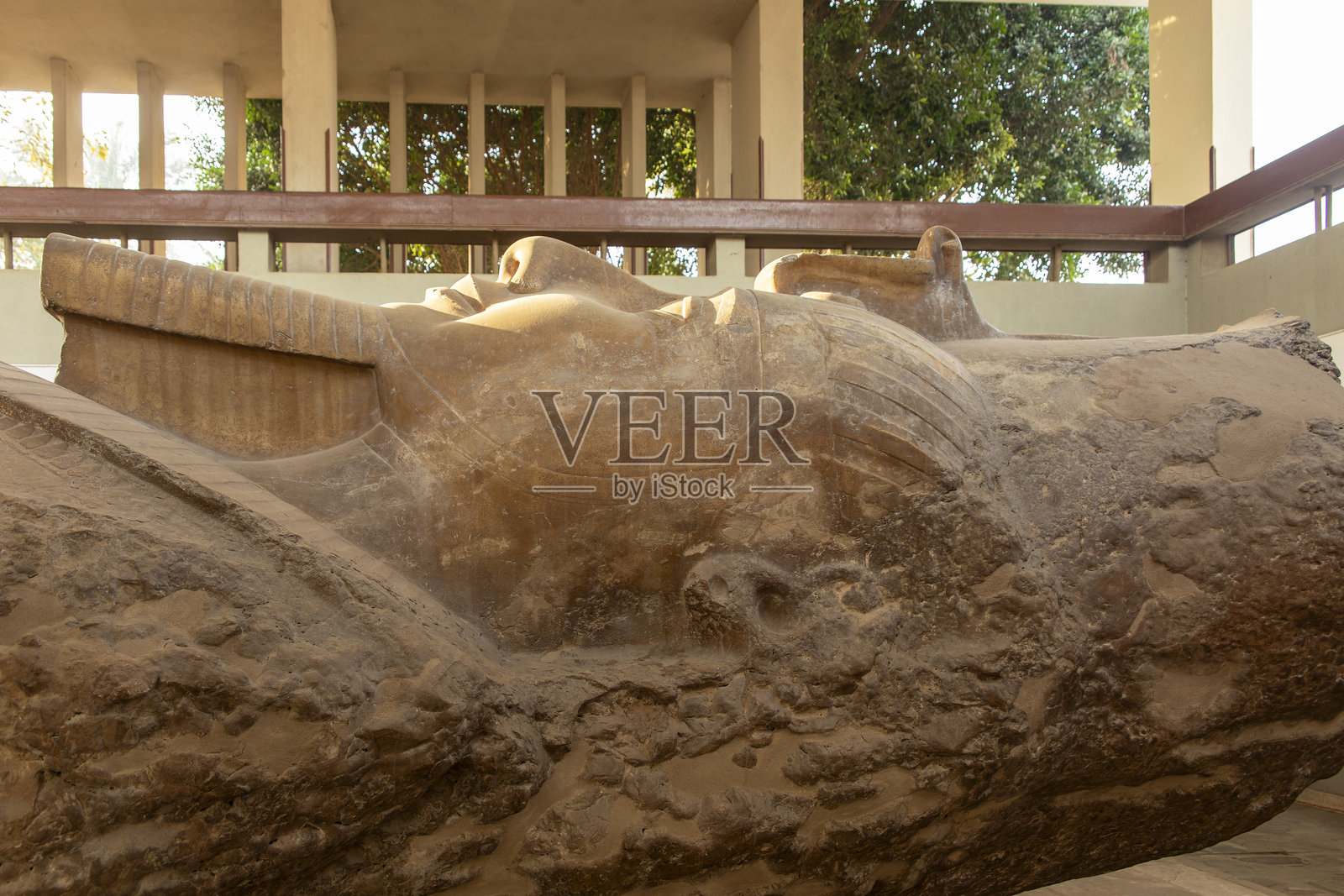 埃及孟菲斯的拉美西斯二世巨像，一尊白色石膏雕像，古埃及的心脏，靠近开罗。照片摄影图片