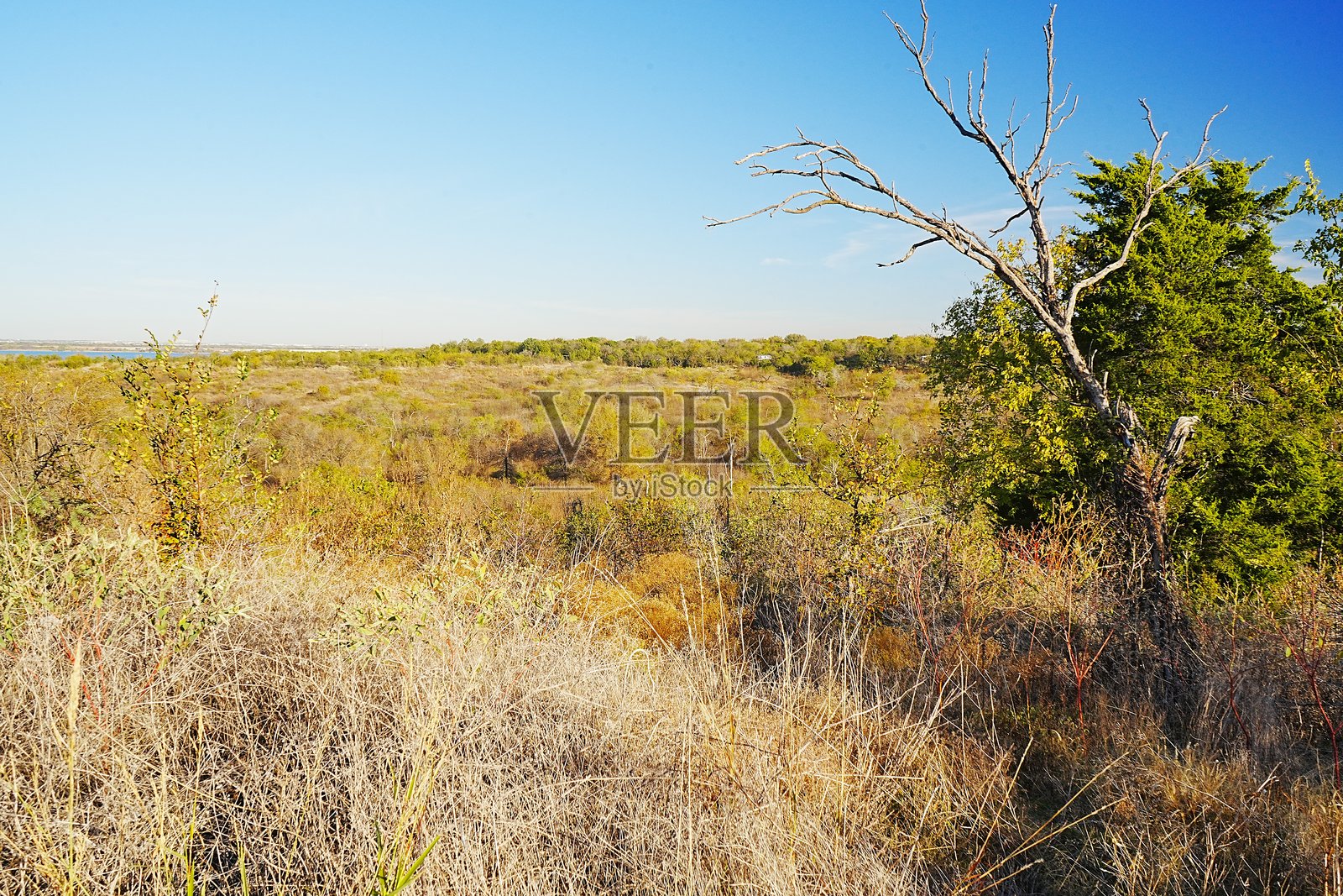 德克萨斯州达拉斯附近的雪松山州立公园清晨观光和徒步旅行照片摄影图片